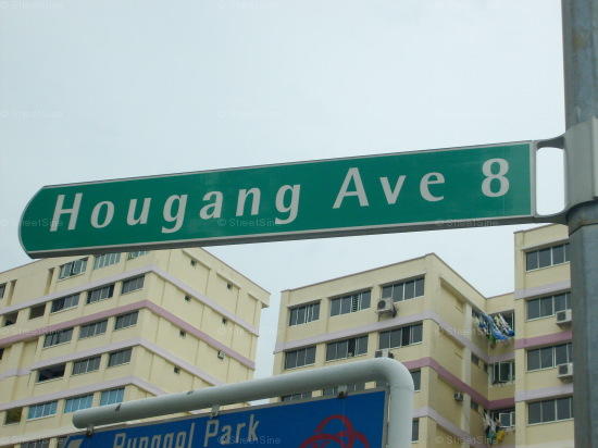 Hougang Avenue 8 #79982